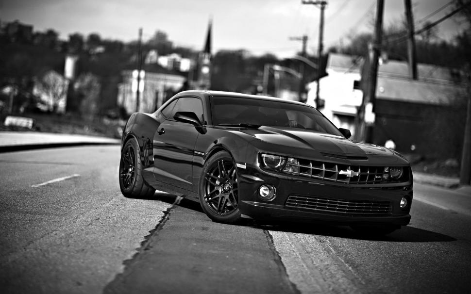 Chevrolet camaro, chevrolet, cars, front view, black white wallpaper,chevrolet camaro HD wallpaper,chevrolet HD wallpaper,cars HD wallpaper,front view HD wallpaper,black white HD wallpaper,2560x1600 wallpaper