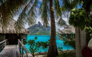 Nature, Landscape, Tropical Island, Beach, Resort, Palm Trees, Sea, Bora Bora, Vacations wallpaper thumb