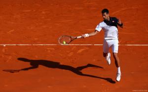Novak Djokovic in French Open 2014 wallpaper thumb