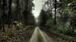 Nature, Landscape, Path, Forest, Trees, Spooky wallpaper thumb