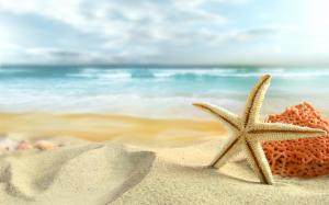Starfish Beach Sand HD wallpaper thumb