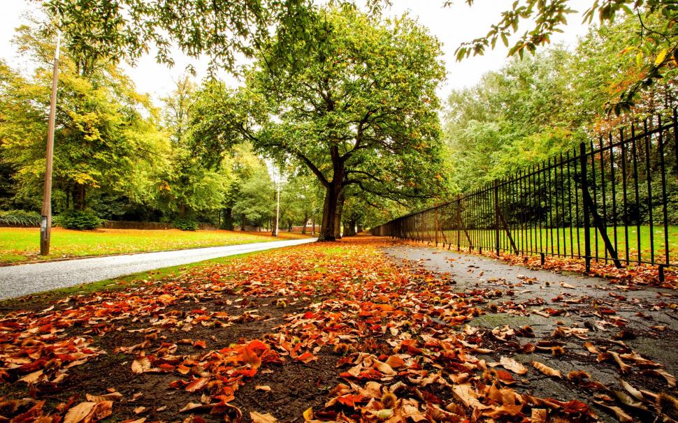 Autumn, park, trees, leaves, road, fence wallpaper,Autumn HD wallpaper,Park HD wallpaper,Trees HD wallpaper,Leaves HD wallpaper,Road HD wallpaper,Fence HD wallpaper,2560x1600 wallpaper