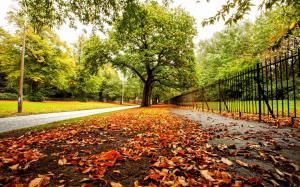 Autumn, park, trees, leaves, road, fence wallpaper thumb