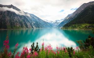 Lake, flowers, mountains, clouds wallpaper thumb