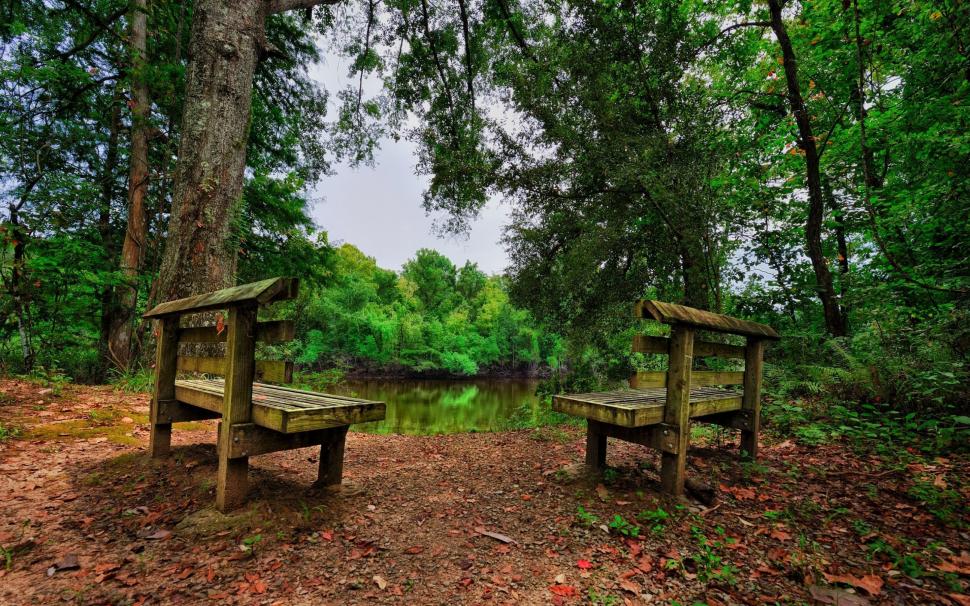 Benches on the lake side wallpaper,nature HD wallpaper,2560x1600 HD wallpaper,Forest HD wallpaper,tree HD wallpaper,lake HD wallpaper,bench HD wallpaper,Lake pic HD wallpaper,hd Lake wallpapers HD wallpaper,2880x1800 wallpaper