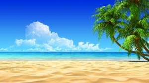 clouds, sand, palm trees, beach, sky, landscape wallpaper thumb