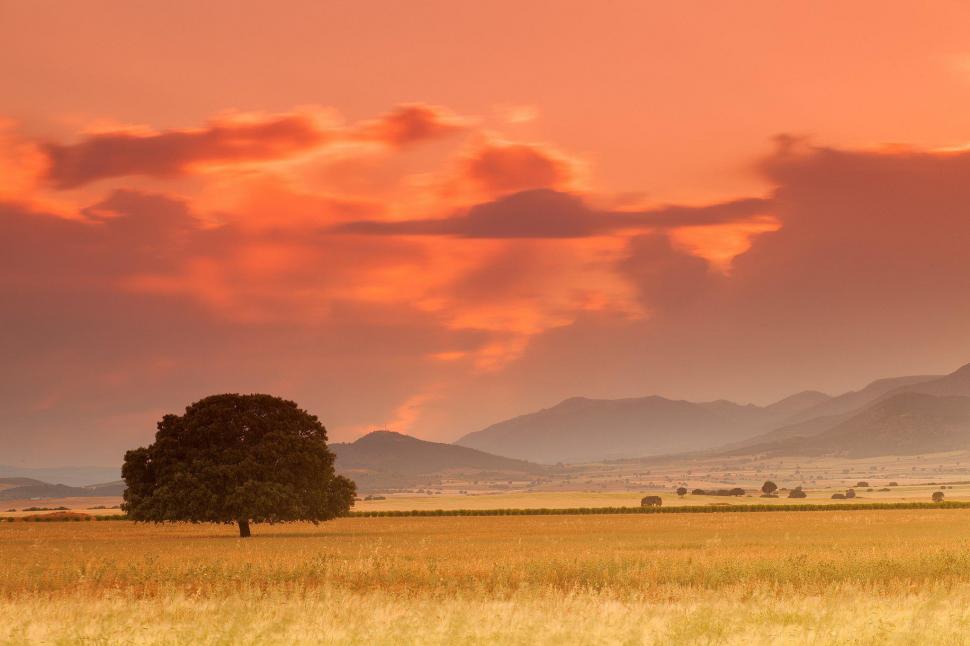 Tree Field Mountains Trees Spain HD Background wallpaper,sunrise - sunset HD wallpaper,background HD wallpaper,field HD wallpaper,mountains HD wallpaper,spain HD wallpaper,tree HD wallpaper,trees HD wallpaper,2048x1365 wallpaper