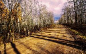 Road, forest, trees, autumn, sunlight, clouds wallpaper thumb