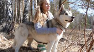 Girl and husky dog in the forest wallpaper thumb