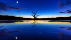 Blue landscape, a tree, reflecting, river, sunset, moon, Landscape wallpaper thumb