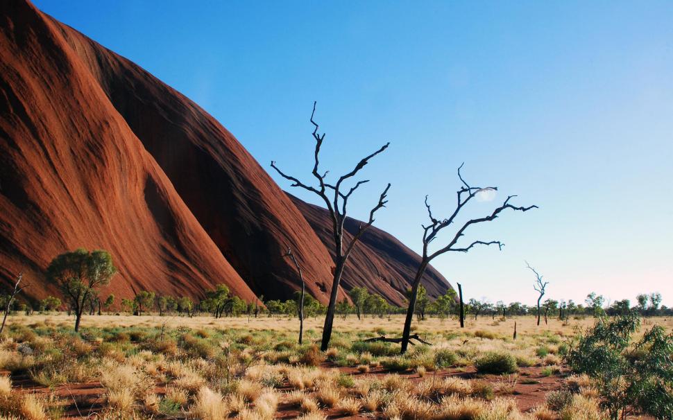 Uluru Ayers Rock wallpaper,skies HD wallpaper,shrubs HD wallpaper,nature HD wallpaper,clear HD wallpaper,blue HD wallpaper,beautiful HD wallpaper,deserts HD wallpaper,3d & abstract HD wallpaper,2560x1600 wallpaper
