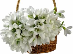 Basket Of White Flowers wallpaper thumb