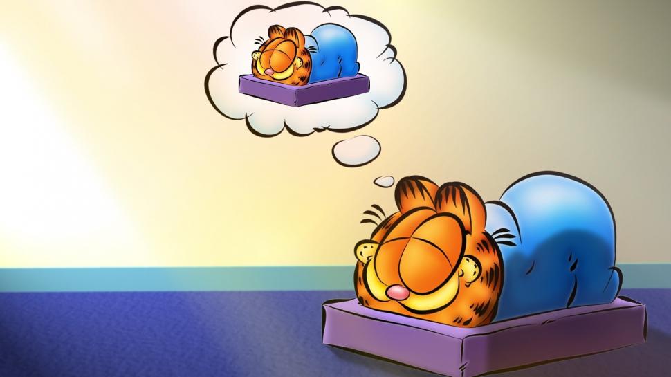 Garfield Cat Sleep HD wallpaper,cartoon/comic HD wallpaper,cat HD wallpaper,sleep HD wallpaper,garfield HD wallpaper,1920x1080 wallpaper