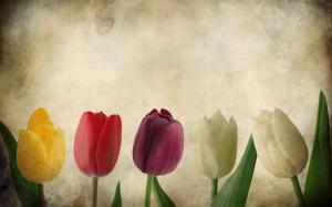 Colorful tulips, texture, flowers, paper wallpaper thumb