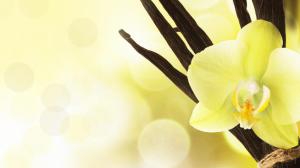 Yellow Orchid wallpaper thumb