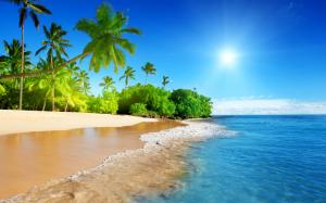 Tropical Palm Tree Beach Ocean Sunlight Island HD wallpaper thumb