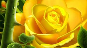 Yellow Rose 3d wallpaper thumb