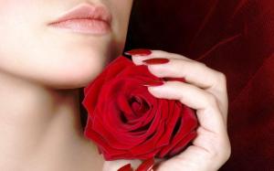 Holding A Red Rose wallpaper thumb