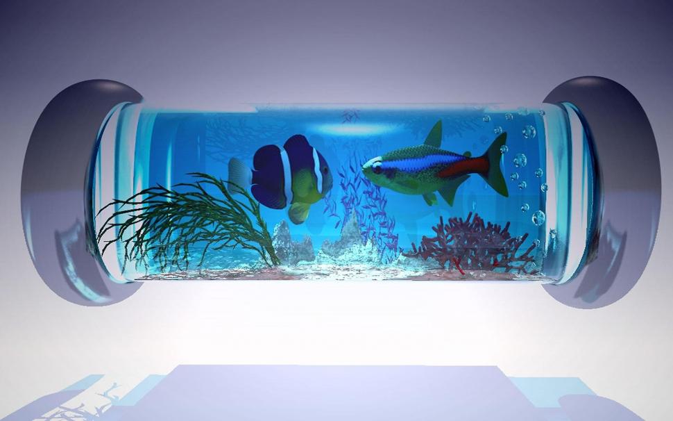 Fish Aquarium wallpaper,blue HD wallpaper,aquarium HD wallpaper,fish HD wallpaper,animals HD wallpaper,1920x1200 wallpaper