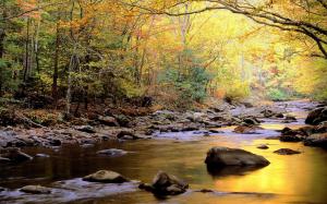 River Autumn Forest  For Desktop wallpaper thumb
