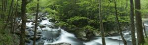 Tremont, Great Smoky Mountains, creek, rocks, trees, Tennessee, USA wallpaper thumb