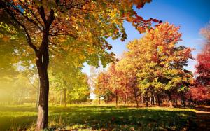 Colorful Autumn Landscape wallpaper thumb