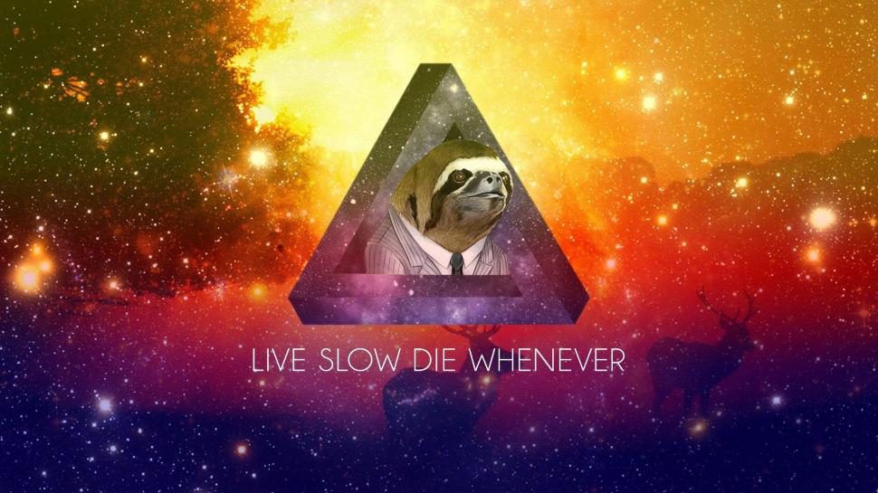 Sloths, Quote, Stars, Triangle wallpaper,sloths HD wallpaper,quote HD wallpaper,stars HD wallpaper,triangle HD wallpaper,1920x1080 wallpaper