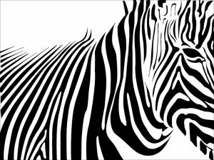 Animals, Zebra, Horse, Black, White, Lines, Head, Eyes, Art, Abstract wallpaper thumb