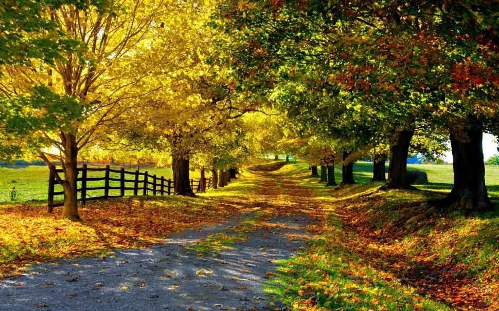 Nature autumn, yellow leaves, trees, road, fence wallpaper,Nature HD wallpaper,Autumn HD wallpaper,Yellow HD wallpaper,Leaves HD wallpaper,Trees HD wallpaper,Road HD wallpaper,Fence HD wallpaper,1920x1200 wallpaper