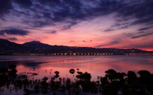 China, Taiwan, strait coast, dawn, sunrise, city lights, pink sky clouds wallpaper thumb