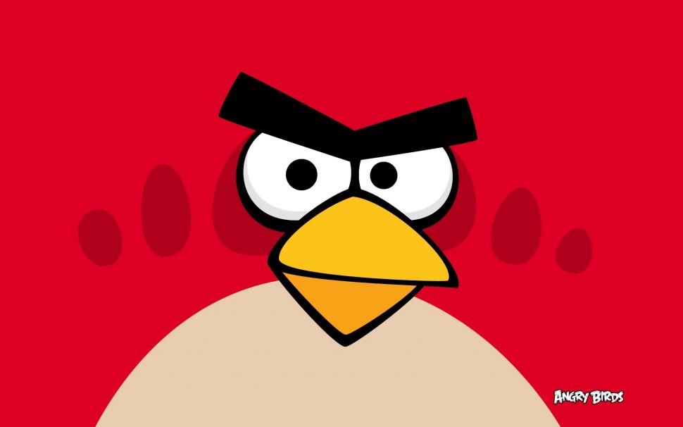 Angry Birds wallpaper,birds HD wallpaper,angry HD wallpaper,1920x1200 wallpaper