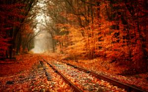 Leaves Over Railway wallpaper thumb