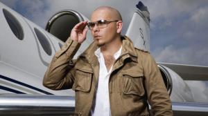 Pitbull with Airplane Background wallpaper thumb