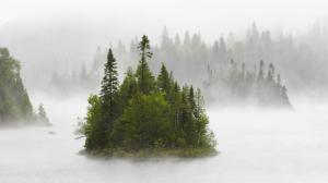 Fog On Fentol Lake In Ontario Canada wallpaper thumb