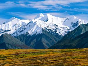 Denali National Park  Alaska HD wallpaper thumb