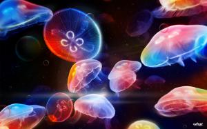 Animal, Jellyfish, Abstract, Colorful, Dark Background wallpaper thumb