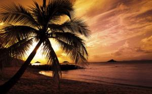 Nature, Landscape, Beach, Sea, Palm Tree, Sunset, Holidays, Blue Sky, Island wallpaper thumb