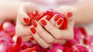 Hands holding red petals wallpaper thumb
