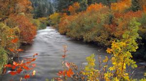 Palisades Creek In Autumn wallpaper thumb