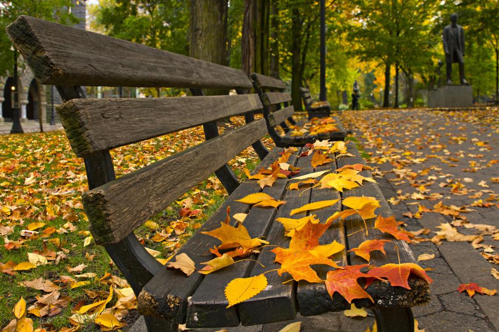 Bench in the woods wallpaper,bench HD wallpaper,fall HD wallpaper,autumn HD wallpaper,diverse HD wallpaper,5184x3456 wallpaper