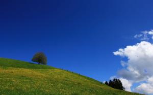Blue sky above the green field wallpaper thumb