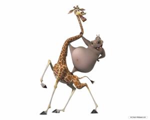 Madagascar movie Cartoon  Free Download HD wallpaper thumb