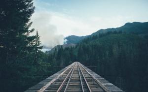Railway, road, bridge, wood, trees, mountains wallpaper thumb