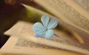 Book Pages Flower Mood wallpaper thumb
