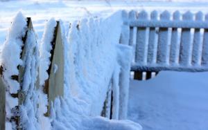 Nature, Snow, Fence, Winter wallpaper thumb
