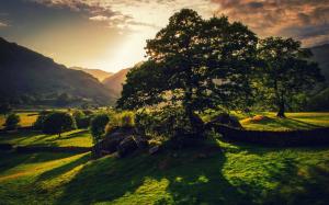 Britain nature landscape, trees, sun, green, hills wallpaper thumb