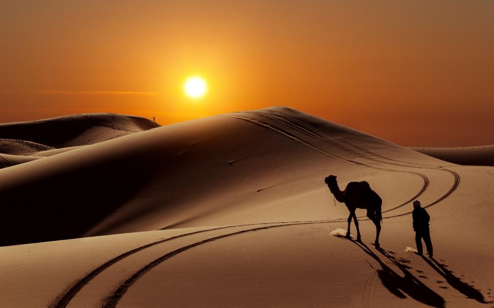 Sunset in Desert wallpaper,desert HD wallpaper,landscape HD wallpaper,sand HD wallpaper,camel HD wallpaper,2880x1800 wallpaper