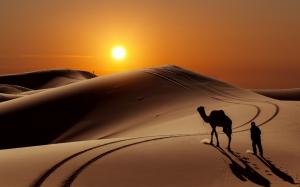 Sunset in Desert wallpaper thumb