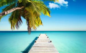 Tropical paradise with palm wallpaper thumb