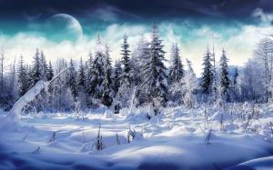 Beautiful Winter High Definition Nature s wallpaper thumb